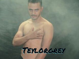 Teylorgrey