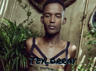 teylorray Sexties