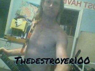 Thedestroyer100
