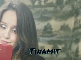 Tinamit