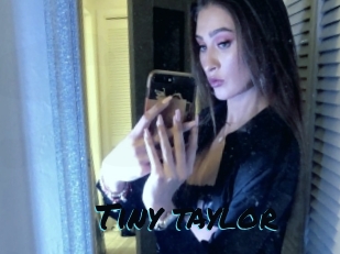 Tiny_taylor