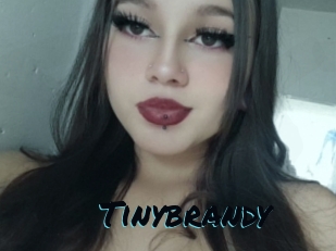Tinybrandy