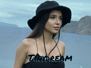 Tinydream