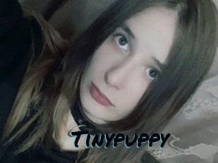 Tinypuppy