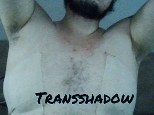 Transshadow