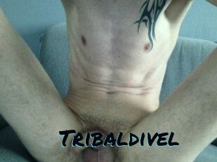 tribaldivel Sexties