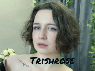 trishrose Sexties