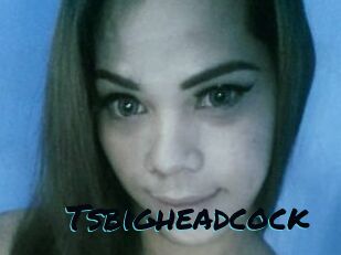 Tsbigheadcock