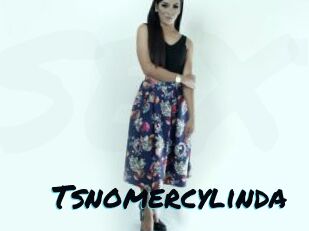 Tsnomercylinda