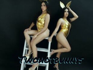 Twohotbunnys