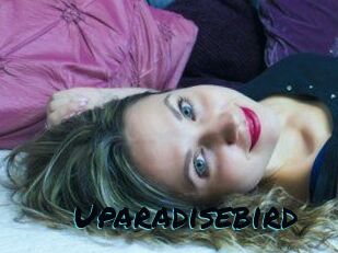 uparadisebird Sexties