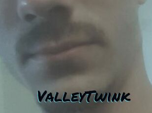 ValleyTwink