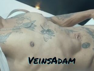 VeinsAdam