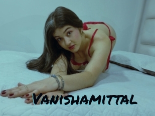 Vanishamittal