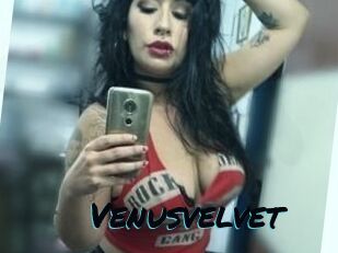 Venusvelvet