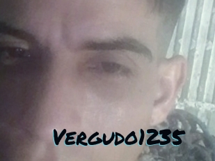 Vergudo1235