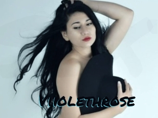 Viiolethrose