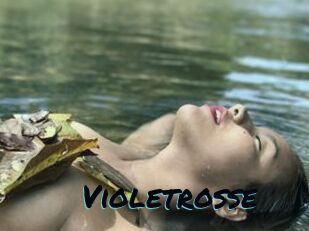 Violetrosse