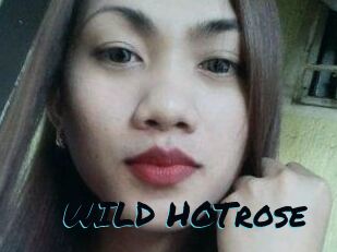 WILD_HOTrose