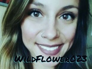 WildFlower023