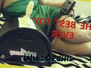 WildOrchid_