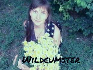 Wildcumster