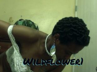 Wildflower1
