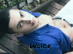 Wdior