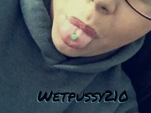 Wetpussy210