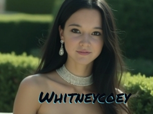 whitneycoey Sexties