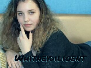 Whitneydiligent