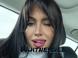 Whitneygill