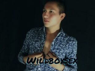 Wildboysex