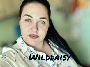 Wilddaisy
