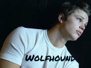 Wolfhound