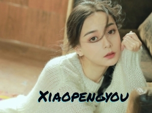 Xiaopengyou