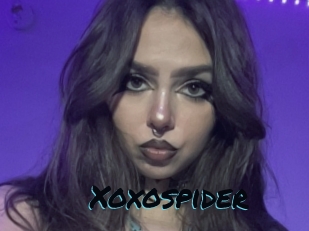 Xoxospider