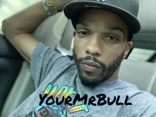 YourMrBull