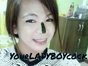 YourLADYBOYcock