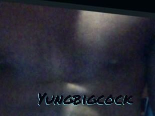 Yungbigcock