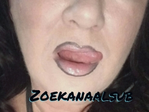 Zoekanaalsub